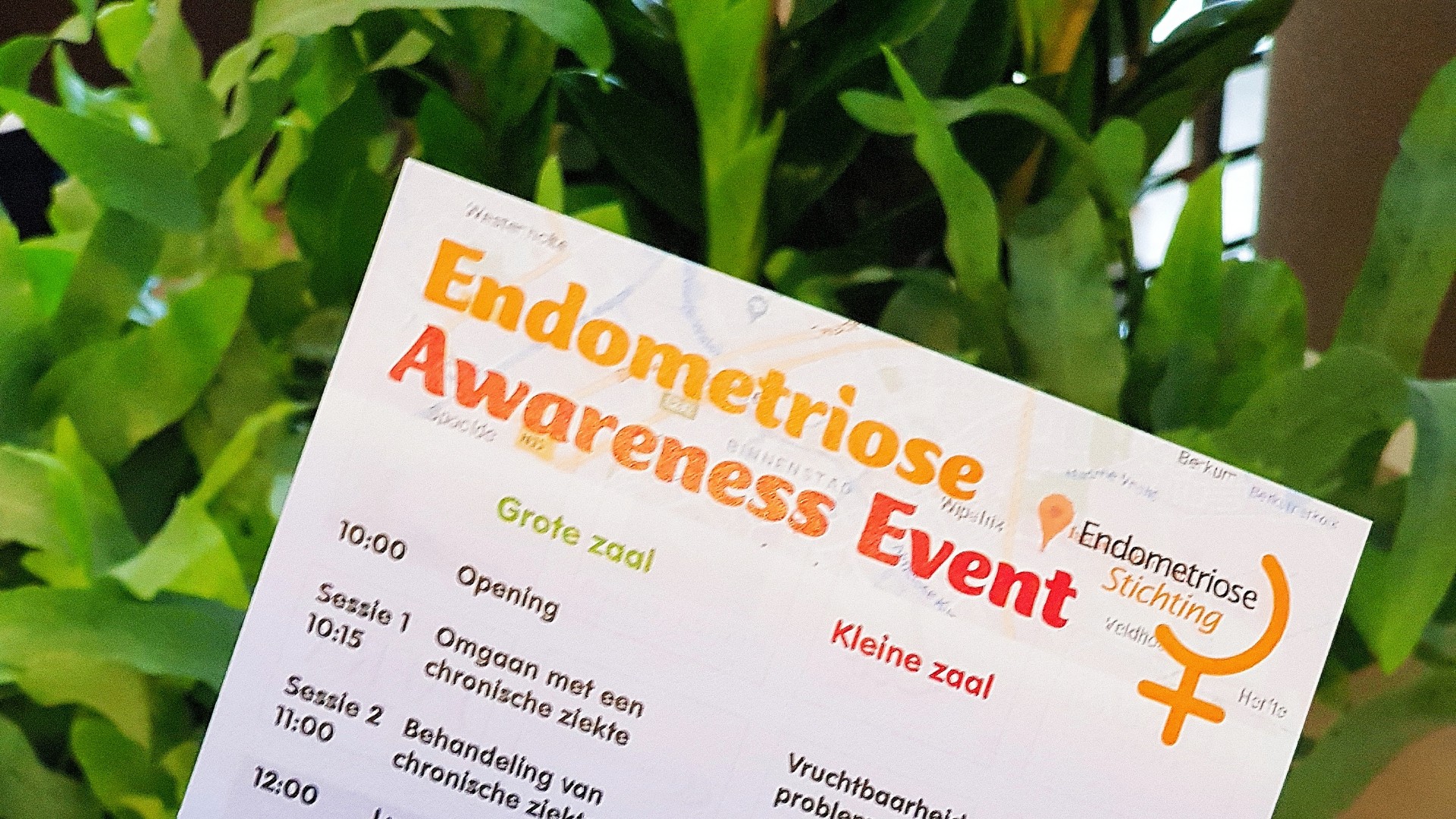 Endometriose Awareness!
